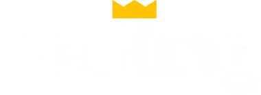 betkingloginnigeria.net Logo